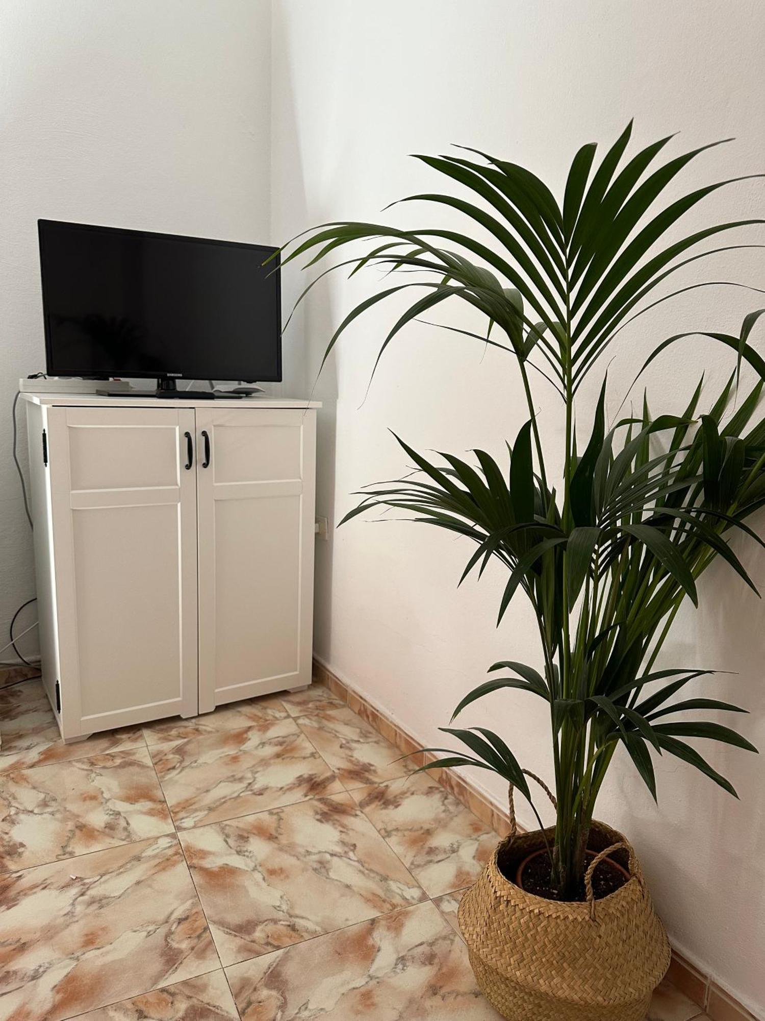 Apartamento Fortaleza Вайермосо Екстериор снимка